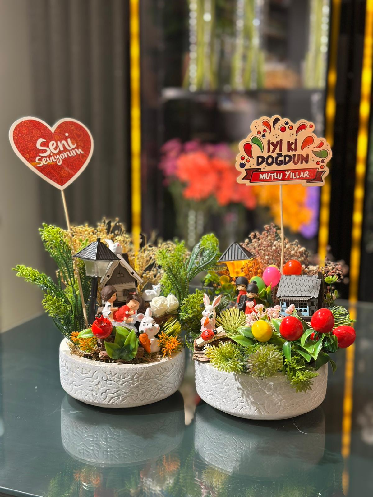 Masa Üstü Teraryum